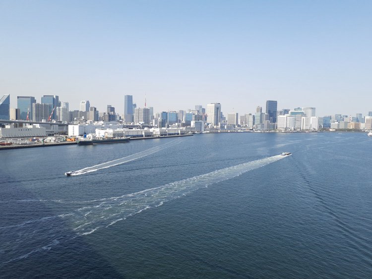 運河散歩も終わり、竹芝あたりからは隅田川散歩に移行。レインボーブリッジから河口部を望む。