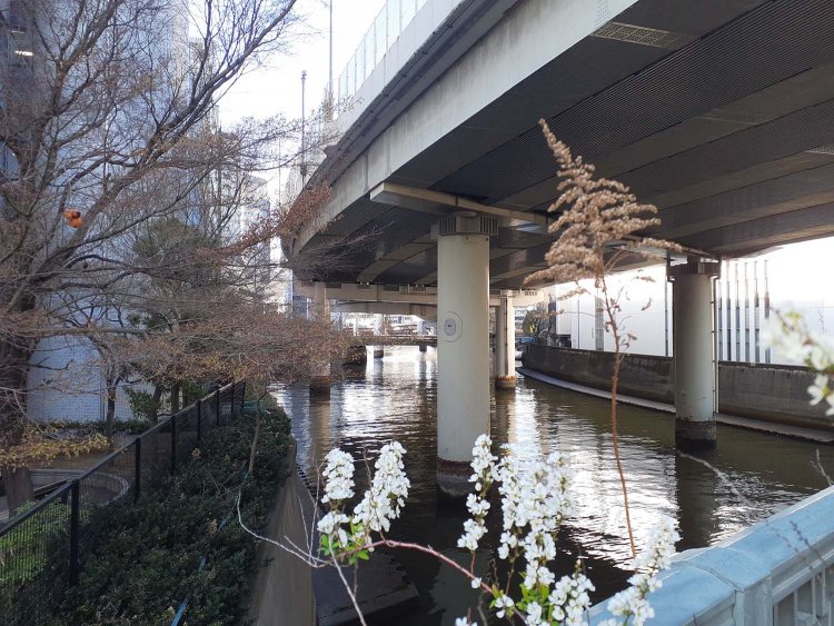 日本橋川全長5km(中央区新川～千代田区飯田橋)のうち、首都高に覆われていないのは、ほんの432m。