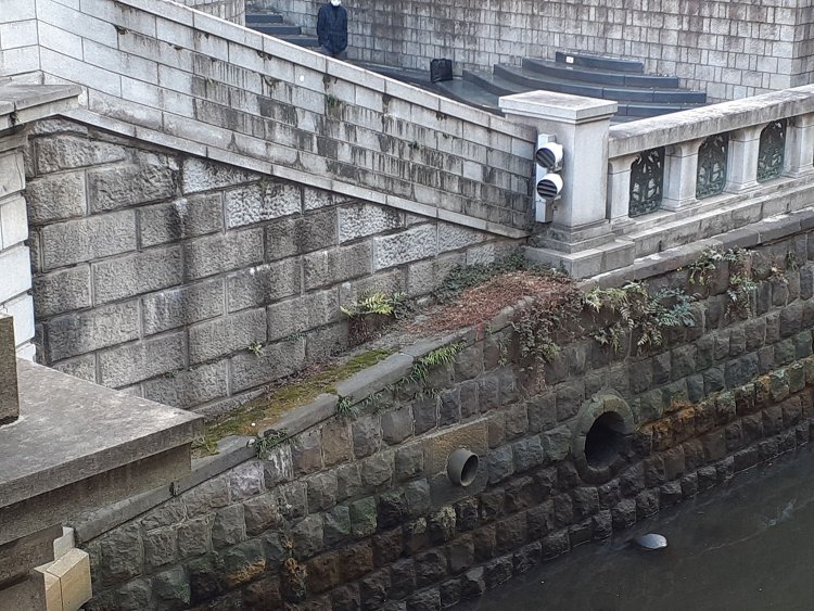 日本橋南詰上流側。ここが《航路1》におけるハマちゃん上陸地点！スロープ状の石積みは、そもそも接岸用の設備なのでしょうか？