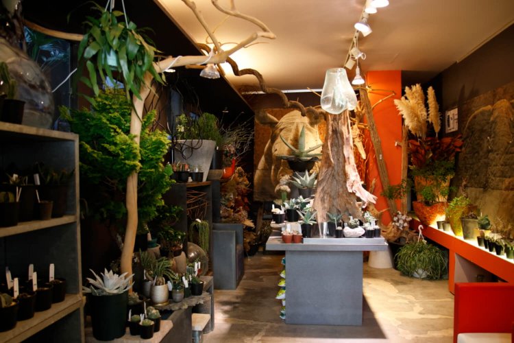 多肉植物を配置したエキゾチックな空間が！