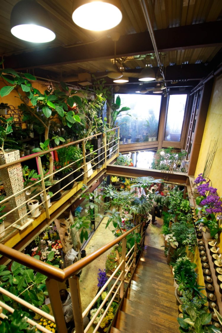 中央に階段を設えた吹き抜けの店内。窓が広く採光たっぷり。1階は切り花、階段途中から2階は観葉植物が所狭しと並ぶ。