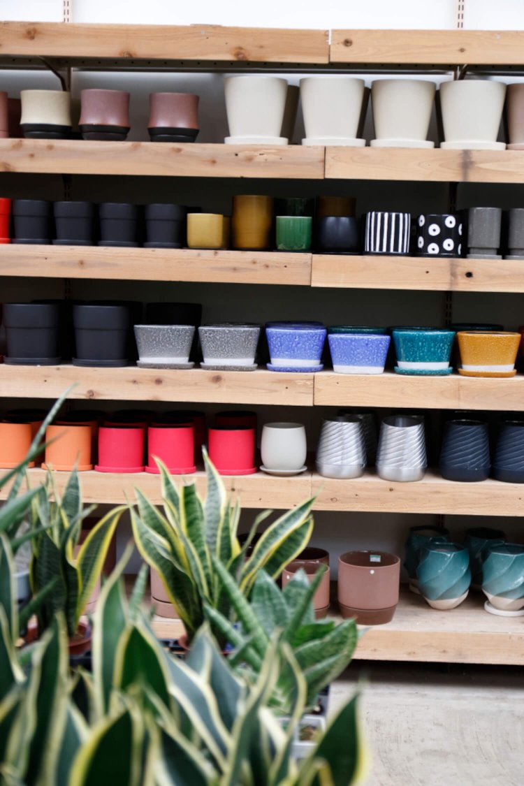 鉢などの園芸用品も充実。