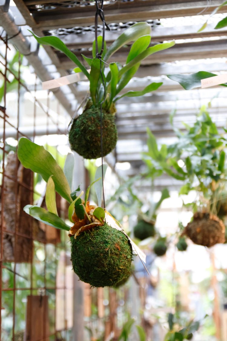 頻繁に変わる2階のディスプレイ。自宅に飾る際の参考になる。