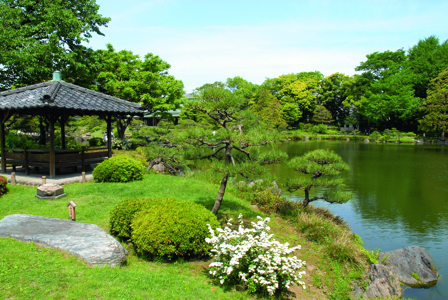 清澄庭園_イメージ