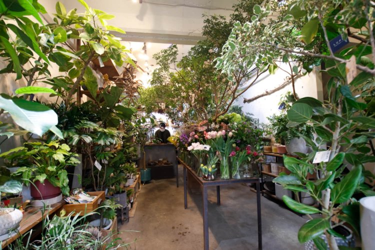 一歩入ると、チャーミングな花々にほほえみかけられる（ほほえみ返しましょう）。