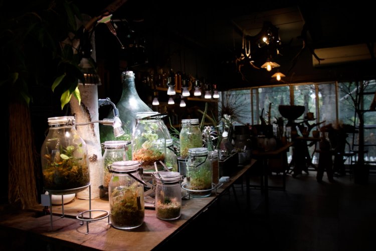 大小さまざまな放置植物の瓶が並ぶ2階。実験室のようで、息をひそめてしまう。