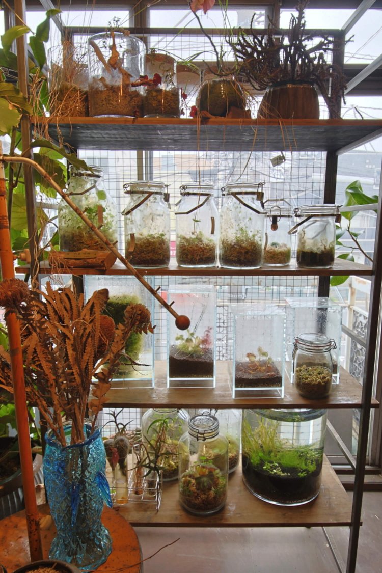 約1年前に蓋を閉じた瓶の数々。「どうなるか誰にもわからないのがいいでしょ」。