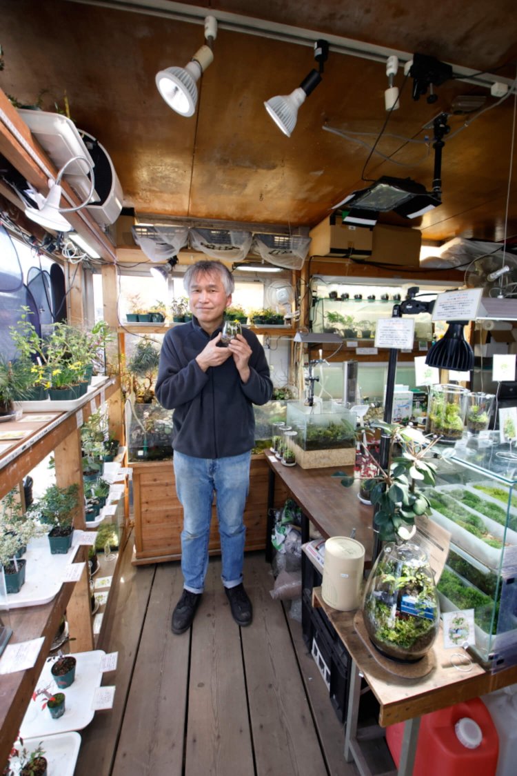 店主の村岡さん。背後にあるコケいっぱいの箱庭は、必見。「卓上に置いて眺めるコケの世界へ。待ってます〜」