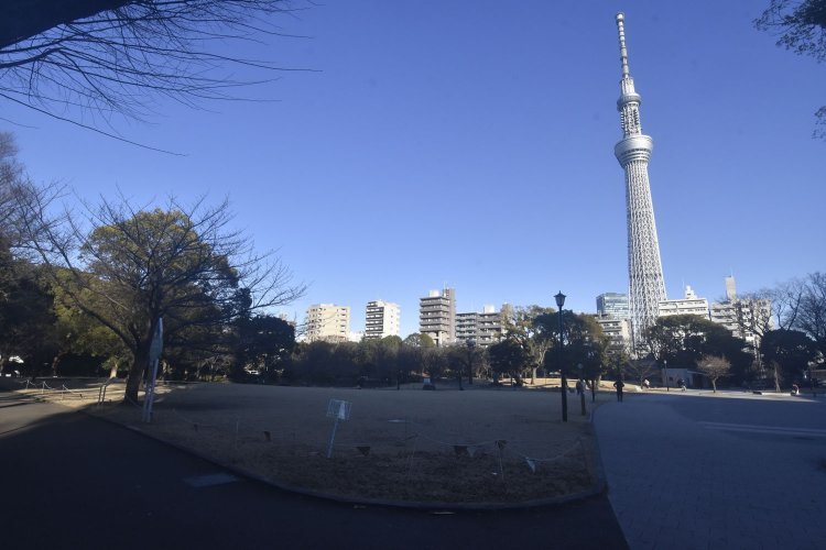 芝生広場もあり、子どもたちの歓声も響いていた。