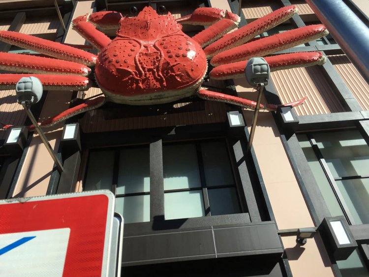 バスの窓から赤いものが見えて、ふと見上げると巨大なカニがいた時の驚き（横浜店）。