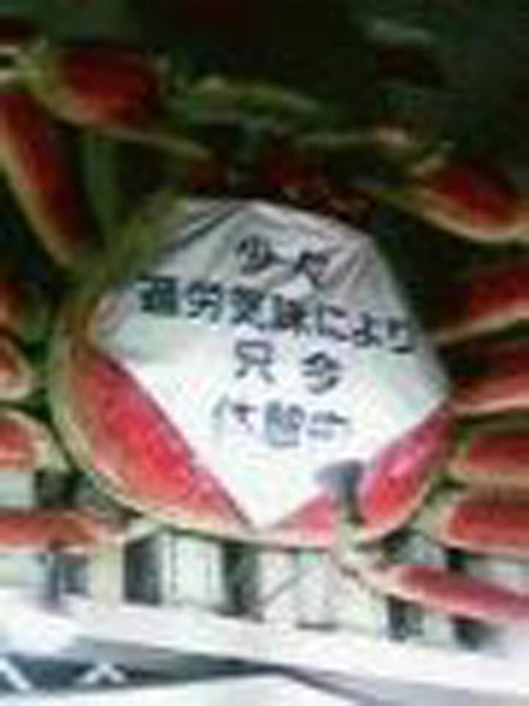 2006年当時の携帯で撮ったため大変荒い画像であるが、「休憩中」のゼッケンを見て「さすが関西……」と感心した覚えがある（京都本店）。