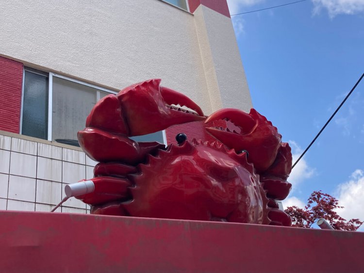 甲羅のへこみが笑っているようにも見える（笹塚・キャンティ本店）。