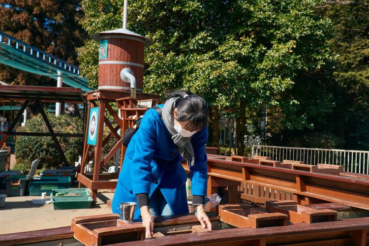 もりの遊園地11