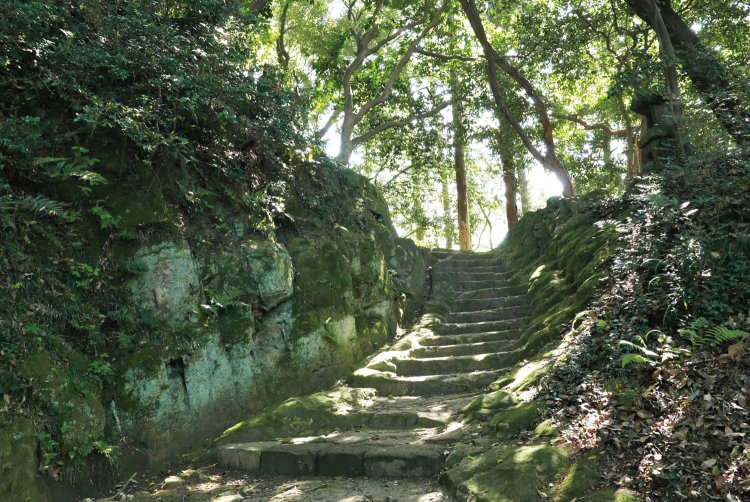 表参道の苔むした岩石の道。築かれた時代は奈良、1200年前の道を歩けるとは感慨深いものがある。