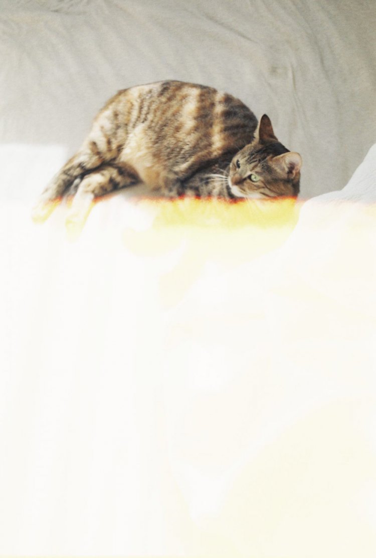 【カメラガールズ】フィルムを感光させて、ノスタルジックな雰囲気に