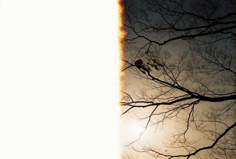 【カメラガールズ】フィルムを感光させて、ノスタルジックな雰囲気に