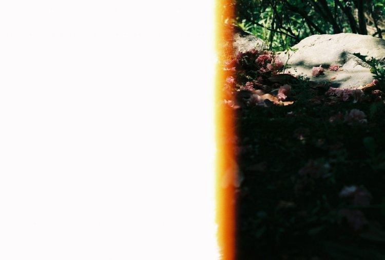 【カメラガールズ】フィルムを感光させて、ノスタルジックな雰囲気に