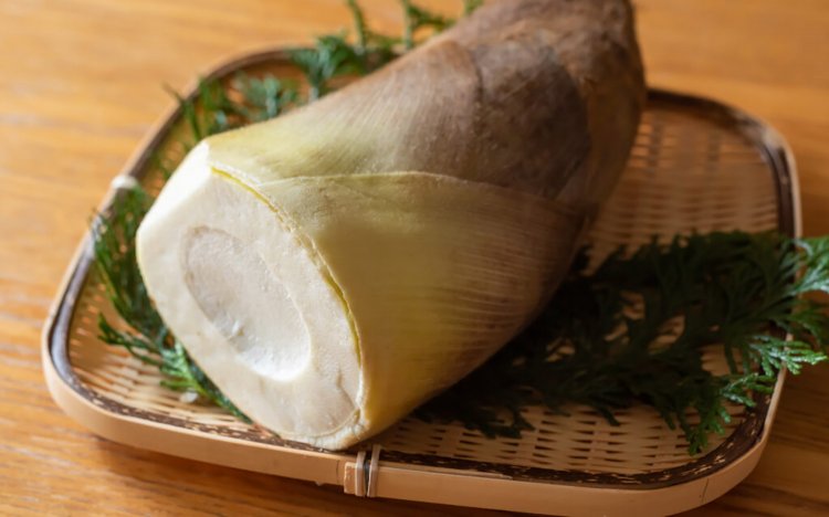 【東京おでんだね】おでんのたけのこの調理方法