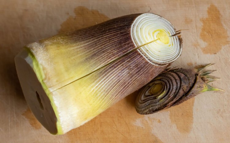 【東京おでんだね】おでんのたけのこの調理方法