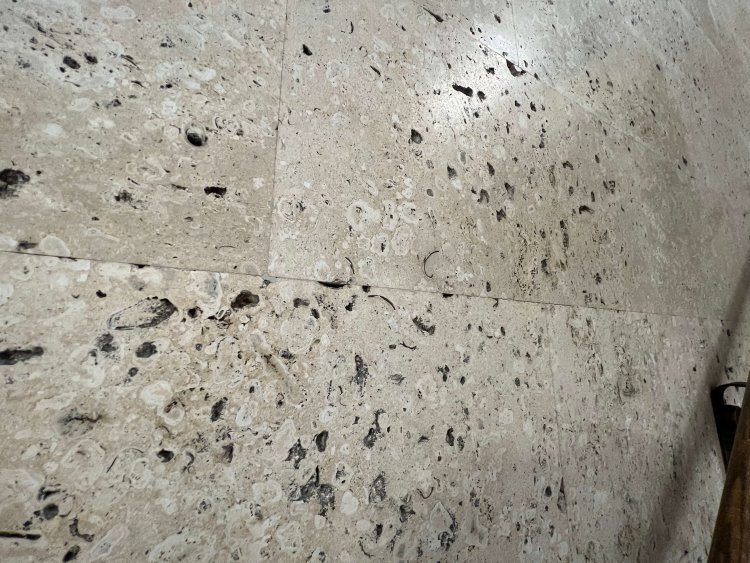 建築さんぽ4 (2)