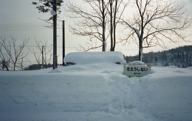 雪が少ないといいつつも、駅名標はご覧のとおり埋もれていた。夜になると駅名標とホームを照らす白熱電灯が暖かく、雪壁も白熱灯のオレンジ色に染まっていた。