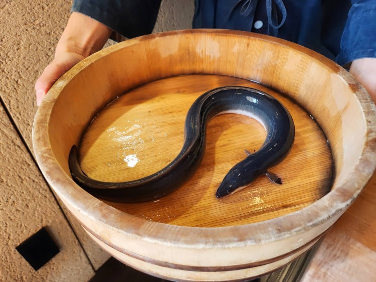 銀座四代目 高橋屋4