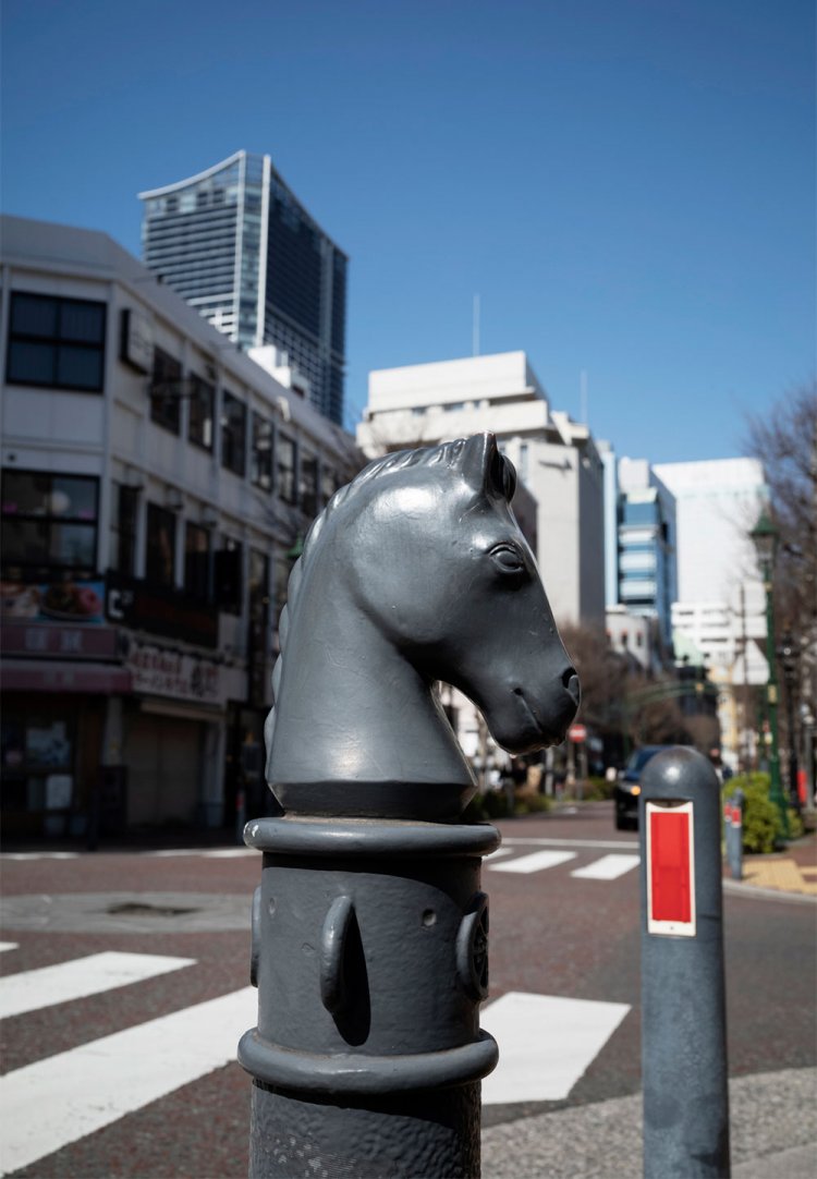 馬車道通りの車道と歩道の境界を示すポールに、馬が。リアルな顔立ちだが、目は優しい。「やあやあ！道路に飛び出ちゃダメだよ」