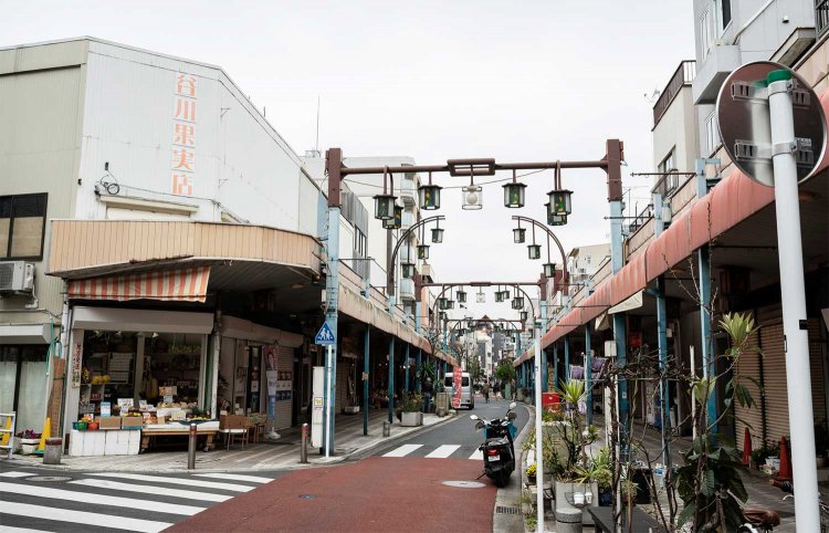 全長約1.1kmの通称「藤棚商店街」。五叉路近くにある本物の藤棚は、初夏の風物詩。