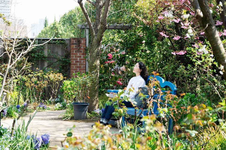 朝がおすすめ。