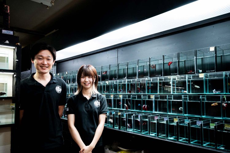 横浜を歩こう［WEST SIDE］