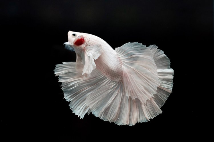 横浜を歩こう［WEST SIDE］