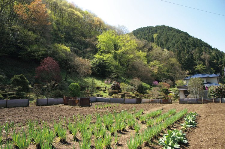 梅ノ木平バス停の先。関東ふれあいの道からの里山の風景がいい。