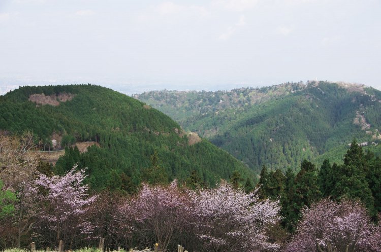 小仏城山から高尾山方面の展望。