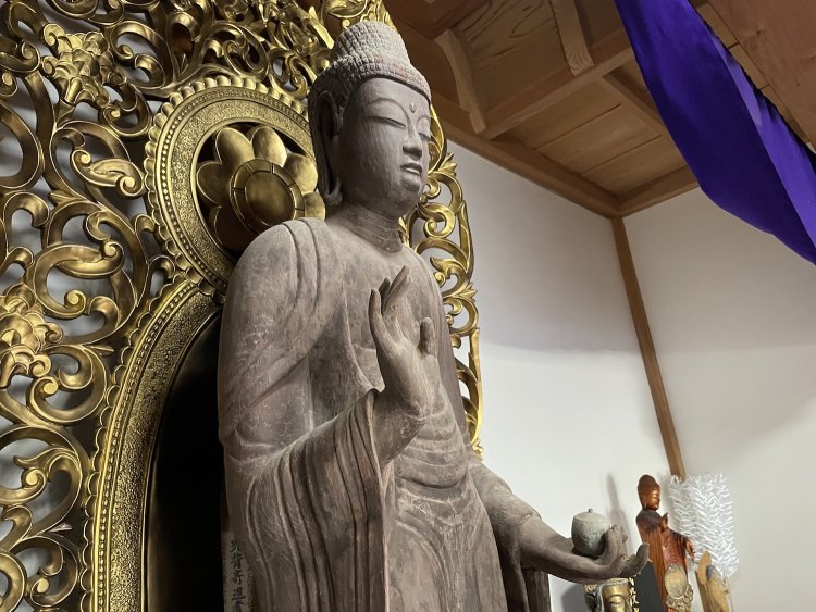 お寺や博物館がもっと楽しくなる！超簡単！仏像のミカタ【如来編】