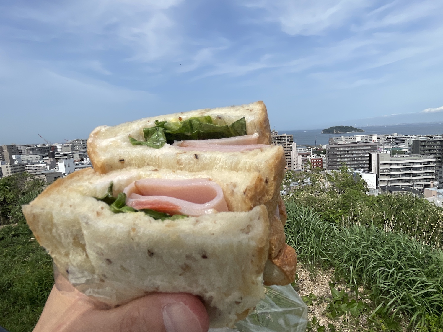 横須賀市街と東京湾を一望できる平和中央公園で買ったばかりのサンドを食べる。向こうに猿島。気持ちいい！