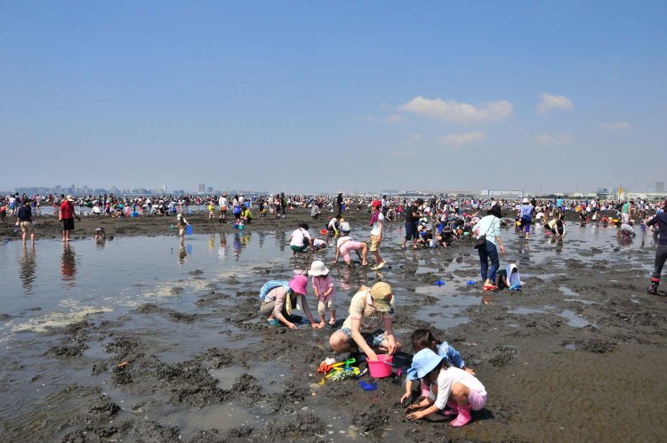 三番海浜公園_R (7)