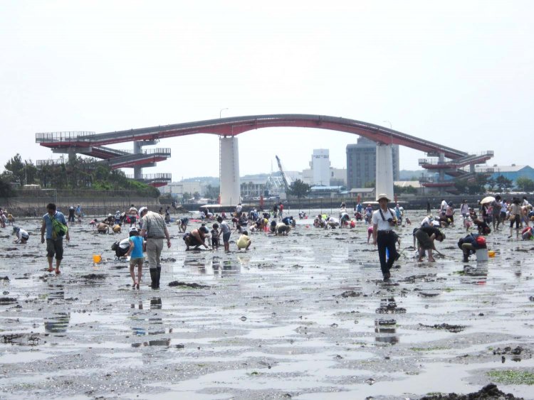 木更津海岸潮干狩場_R (1)