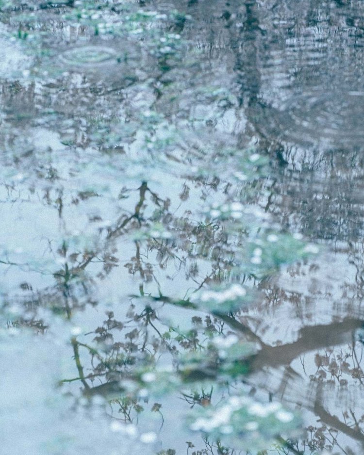 【カメラガールズ】リフレクション