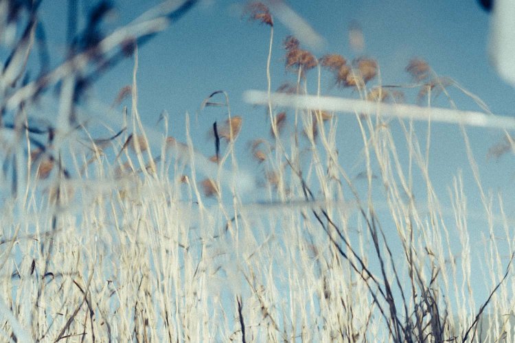 【カメラガールズ】リフレクション