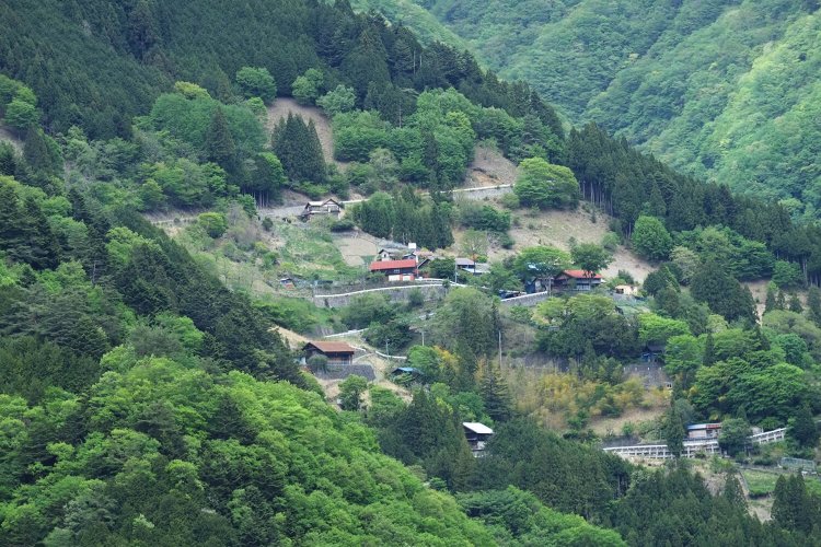峰の集落から奥を望む。奥は浅間尾根の標高900ｍ前後に位置する。この上のほうの山が鷹ノ巣山になる。