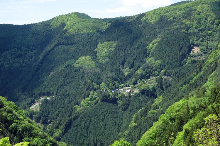 奥から峰の中心部を見る。わりと平たい土地がある。