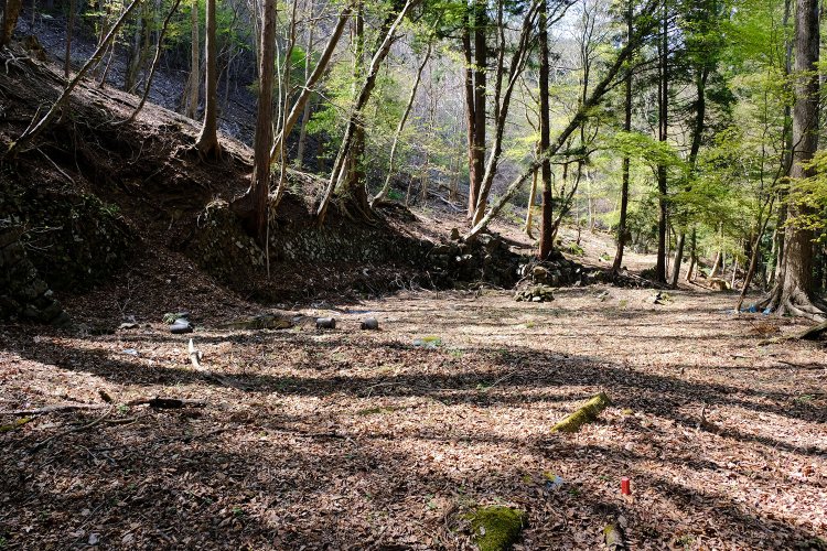 集落の上のほうに柳田國男が泊まったという福島文長氏の敷地がある。かなりの広さである。