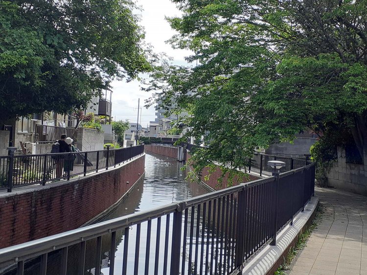 男はつらいよ_15境川修景