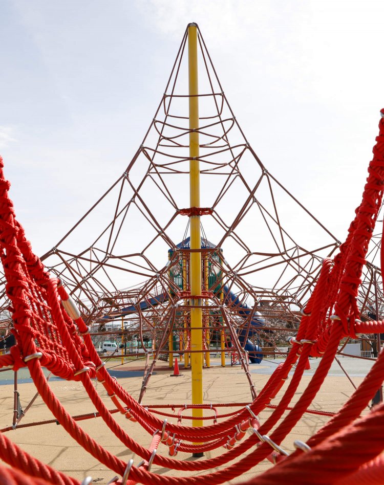 大和ゆとりの森1