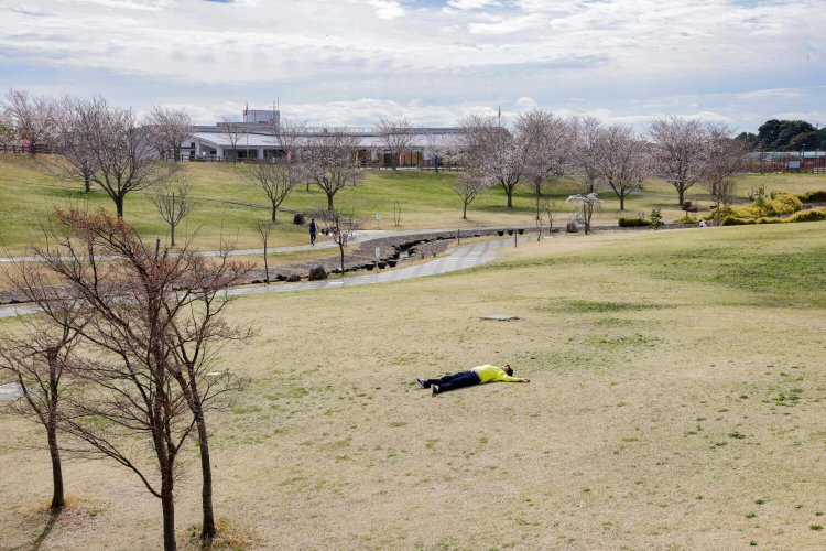 大和ゆとりの森6