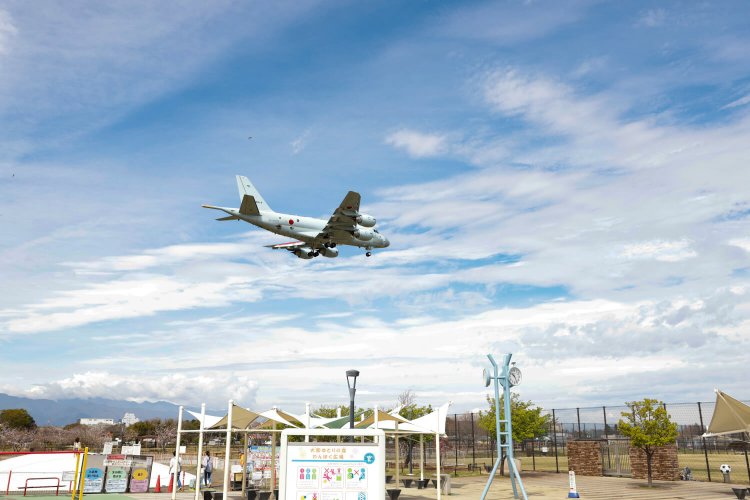 大和ゆとりの森10