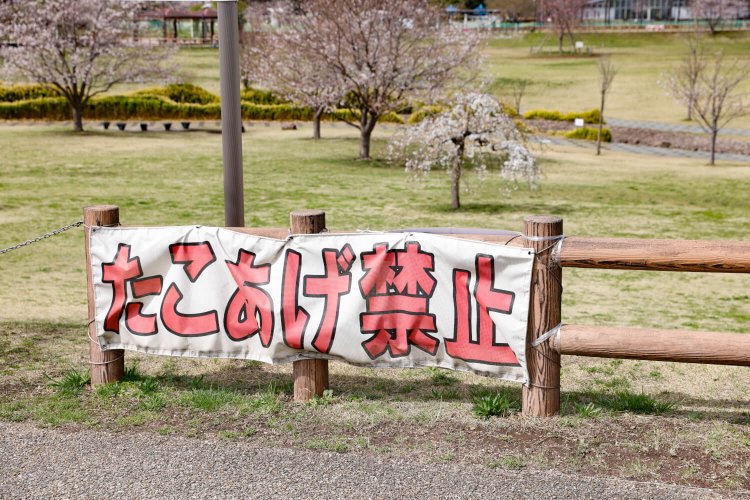 大和ゆとりの森12