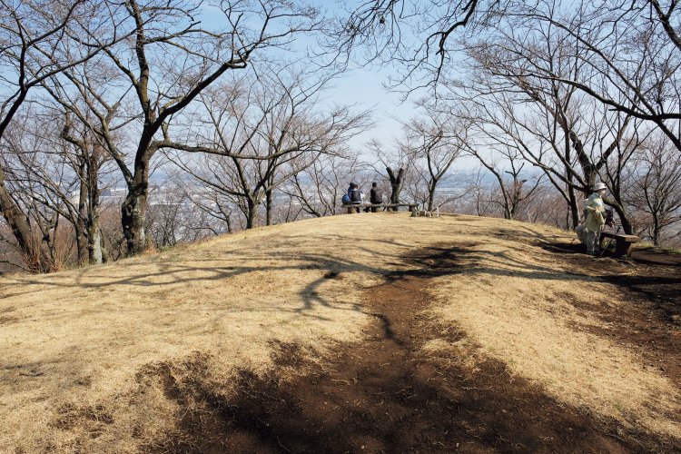 広場のような鳶尾山山頂。鳶尾山は標高はたった234ⅿしかないが、実は日本で一番古い「一等三角点」がある山頂なのだ。すごい。ちなみに三角点は日本全国に10万カ所あるそうだ。