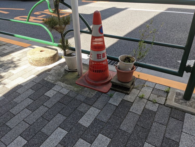 鉢植えと一緒に並んだカラーコーン。