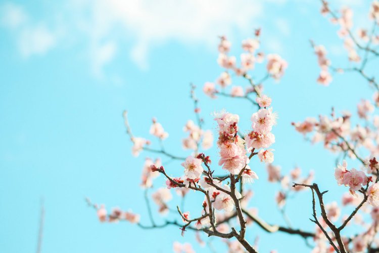 【カメラガールズ】『Canon EF-M 32mm 1.4F STM』のレンズレビュー